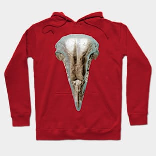 Metal model of a Barn Owl Skull Hoodie